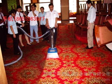 芜湖R150SDV VB16宁静型蒸汽干洗地毯机 清洁革命的静音先锋