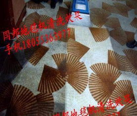 威霸国邦R 150SV VB16标准型蒸汽干洗地毯机 专业清洁的得力助手