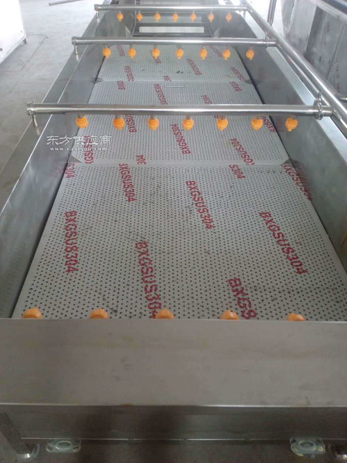 专业清洁设备盘点 从气泡果蔬清洗机到蒸汽干洗地毯机